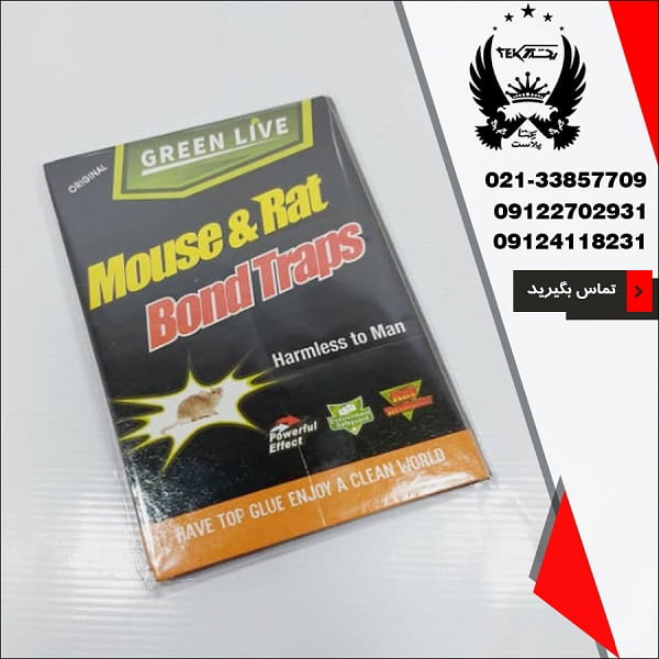 پخش عمده تله موش کتابی